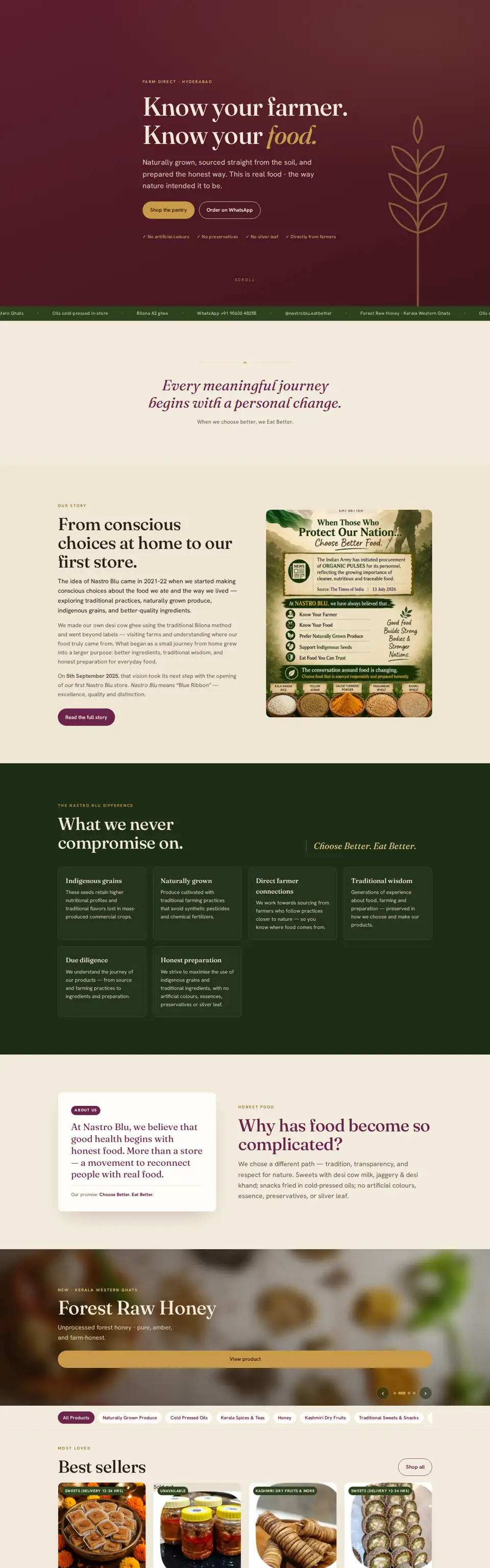 Nastro Blu website home page, full page